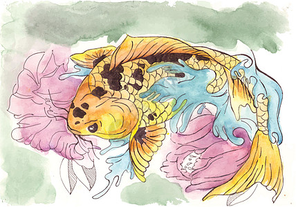 粉色百合花中的金鱼 水彩图画 艺术鱼类人物 水下海洋生物图片