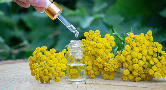 来自伊莫泰尔工厂的石油瓶子植物群季节太阳沙棘农业花园植物学治疗药品图片