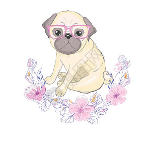 Pug 狗狗漫画斗牛犬艺术小狗卡片草图宠物动物犬类眼睛图片