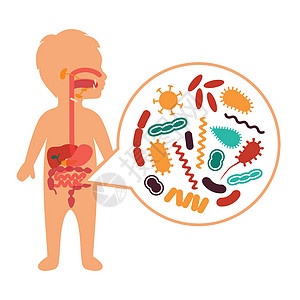 胃痛的医学载体说明 儿童消化系统问题卡通片症状疾病微生物病人医院科学食物药品中毒图片