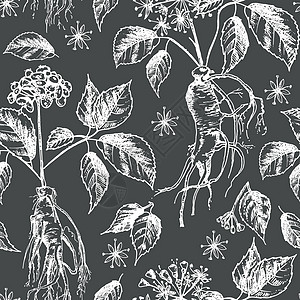 实实在在的植物油墨草图无缝模式 人参根 花朵和浆果被隔绝在黑药草丛中 传统中国医药厂乡村收藏荒野酊剂墨水叶子手绘草本植物芳香植物图片