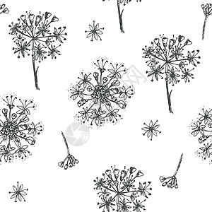 简单无缝模式 在白色花草丛收集的白花生花朵上贴满了真实的植物墨迹草图 传统中国药厂植物学手绘墙纸收藏墨水酊剂草本植物荒野艺术治疗图片