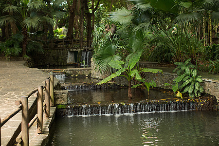 设有瀑布 棕榈树和木栅的国家公园 毛里求斯 Casela图片