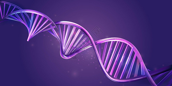 紫罗兰背景上光鲜的DNA线条图片