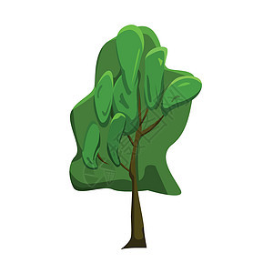 白色背景上现实的绿色绿环矢量插图树林树干公园花园绘画植物学艺术叶子团体图片