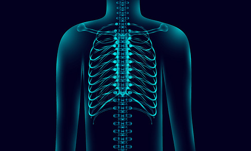 带有骨干 X光音调样式的解剖背景照明 矢量图解 Eps10图片
