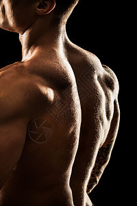 漂亮的运动男男子力量 适合肌肉的身体 在黑色背景上孤立无援的体形胸部腹部躯干健身房训练膀子工作室胸饰健美成人图片