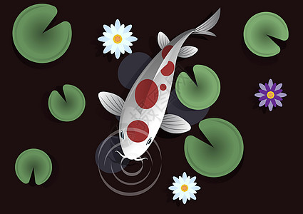 红斑白锦鲤在鱼塘里嗅着空气 池内有荷叶和美丽的荷花 矢量卡通平面风格插画图片
