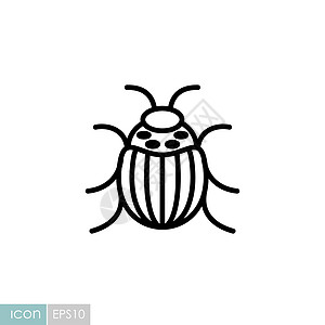 科罗拉多 beetle 矢量孤立图标昆虫学害虫土豆生物学黄色昆虫插图农业条纹动物图片