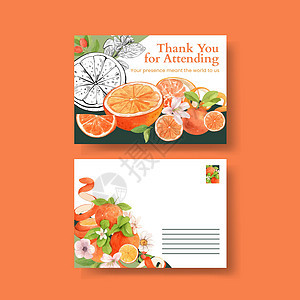 带有橙葡萄果概念的海报模板 水彩色收成柚子橙子传单美食小册子水彩广告食物香橼背景图片