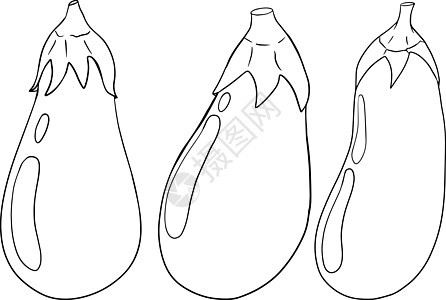 手绘线茄子 孤立在白色背景上的矢量图解 农场 新鲜 生态蔬菜艺术品 用茄子涂色食物食谱花园插图收成紫色农业水果营养植物图片
