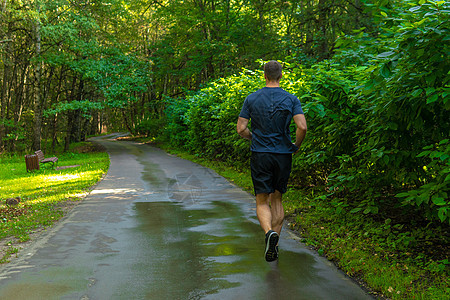 一名男子运动员在户外的公园里跑步 在森林周围 橡树绿草年轻持久的运动员森林 生活方式户外训练健康马拉松 在外面慢跑 秋身跑 远方图片