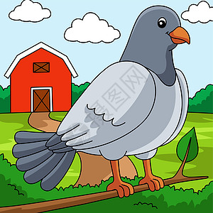 鸽子卡通彩色动物说明图片