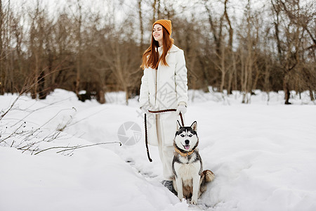 美丽的狗在一条皮带上 冬季风景散步友谊绅士猎犬朋友们小狗生态财产公寓毯子格子女士图片