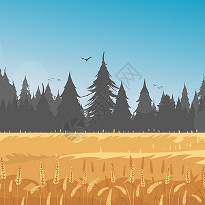 新西兰森林以小麦田和蓝天空为背景的农村景观 矢量图场景蓝色公园房屋小麦植物群农业旅行情绪植物插画
