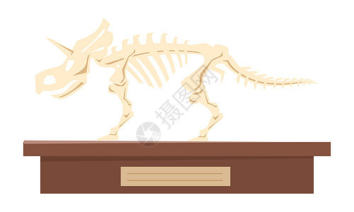 恐龙化石骨质半平板彩色矢量物体图片