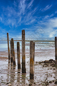 Texel岛  蓝天空和白云海港口反射木头黑色海洋白色天空海岸太阳海滩图片