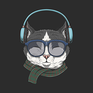 Cat 戴耳机插图图片