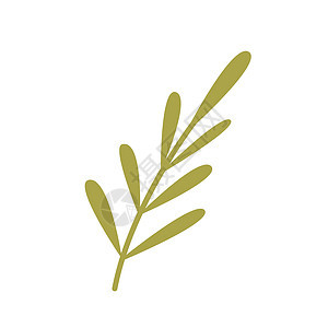 简单装置 树枝带叶叶 矢量平板设计元件插图弯曲生态植物学荒野棕榈花园叶子手绘艺术图片
