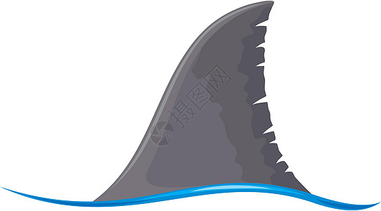 鲨鱼鳍插图海浪荒野野生动物卡通片捕食者怪物海洋生态热带图片