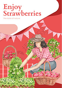 带有草莓收获概念 水彩色风格的海报模板场地女性小册子水彩农业生态生物旅游农场采摘图片