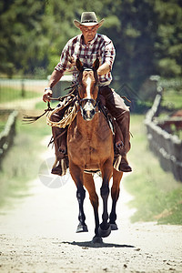 耶哈 骑马的牛仔农业头发农场牧场主平原马术马匹荒野成人男人图片
