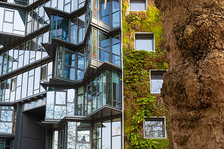 城市中的绿绿色植被建筑植物办公室建筑学窗户生态图片