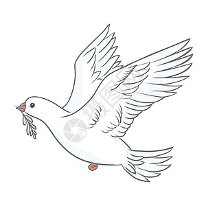 和平鸟和平鸽纯度设计 与白色背景上的绿色橄榄枝的鸽子 标志 爱的象征和信使 平面向量美丽的图形隔离元素 飞行的卡通鸟画世界自由精神航班插画