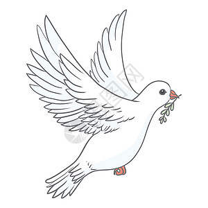 和平鸽纯度设计 与白色背景上的绿色橄榄枝的鸽子 标志 爱的象征和信使 平面向量美丽的图形隔离元素 飞行的卡通鸟画天堂绘画宗教动物图片