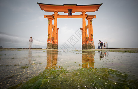 在宫岛 漂浮的托里城门 低潮地区(日本)长期接触图片
