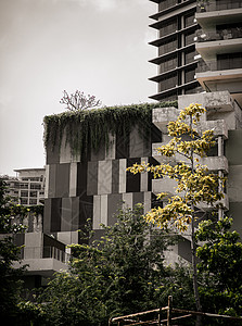 现代建筑和自然公园可以完全共存 笑声摩天大楼树木地标首都地球公寓财产住宅天空绿树图片