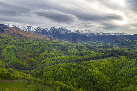 雪山和绿色森林 春天的五颜六色的风景 生态旅游 旅游 冬季户外活动的概念图片