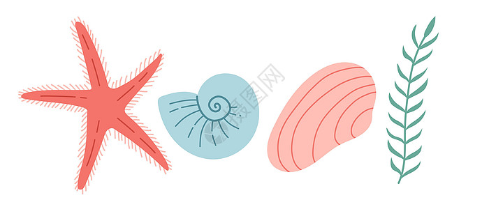 贝壳珊瑚矢量 简单颜色 平板设计假期珊瑚海洋贝壳绘画插图平面旅行海滩图片