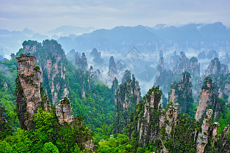 悬崖石头中国张家江山花朵地标石头森林薄雾游客公园岩石植物山脉背景