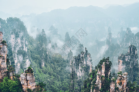 中国张家江山地标薄雾砂岩山脉天气森林遗产旅行公园旅游图片