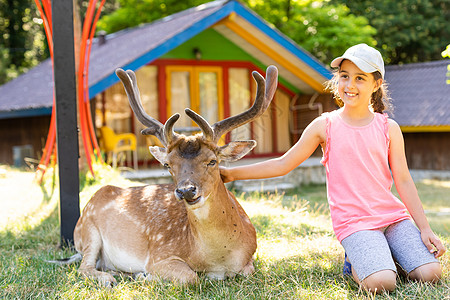 小女孩跟小鹿激动人心的经历 可爱的小女孩在动物园里与家人共度美好时光时 一边看着和抚摸着斑驳的小鹿一边吃着食物 国家公园 动物栅栏母亲男生荒背景