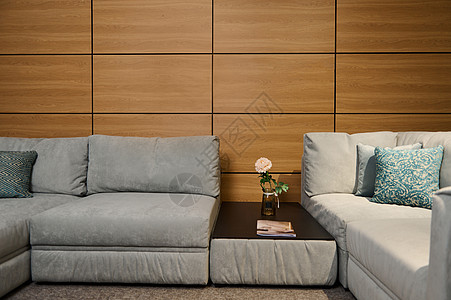 软装公司现代时尚软软软装饰的灰色沙发 配有绿色糊面垫和在家具商店展厅花瓶中玫瑰花朵的日记桌背景