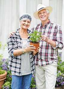我们从来没有时间去花园 幸福的老夫妇在后院忙着园艺工作 他们很快乐图片