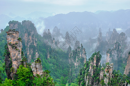 中国张家江山植物旅行爬坡游客砂岩地标吸引力森林风景薄雾图片