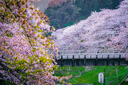 春山田站Kanagawa县旅行电力电线杆国家车辆交通车站植物天空机车图片