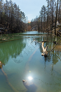 春光绿色森林池塘景观风景旅行阳光旅游季节分支机构公园农村木头树木图片