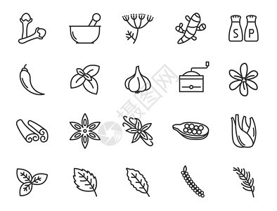 用于自然健康的草药和香料概述了用于 web 和 ui 设计的平面图标 草药和香料轮廓矢量图标集隔离在白色背景 现代药剂师概念图片