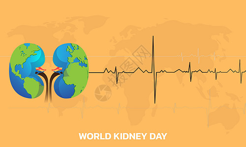 世界肾日海报图表肾脏药品器官生物学动脉全世界治疗解剖学图片