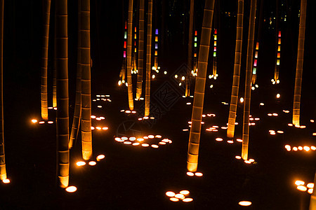 Koishi城堡公民森林夜景情感旅游植物照明庭园夜空旅行财产竹子图片