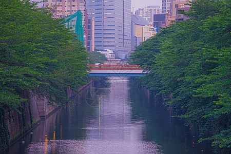 新的绿色城市梅吉罗河公寓黑川清流植物景点旅游蓝天高层计量景观图片