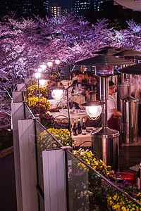 披着樱花的餐馆花坛植物天空城市港区建筑餐厅照明夜景街景图片