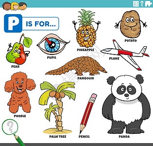 带有卡通字符的教育设备英语学校熊猫教学飞机工作穿山甲贵宾插图字母图片