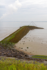 浴室附近的Scheldt码头支撑波浪断路器洗澡苔藓建筑学石头海浪风景海岸线图片