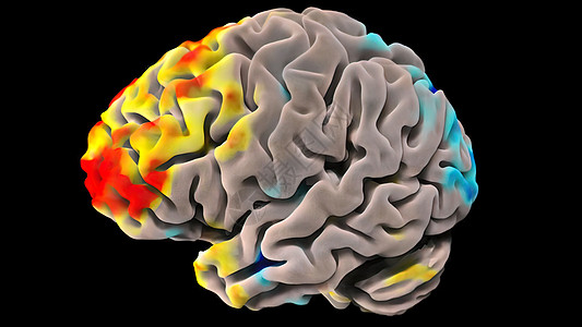 3D 人体脑神经活动医学三维插图神经元细胞情感显微镜信号轴突蓝色顾客科学树突图片