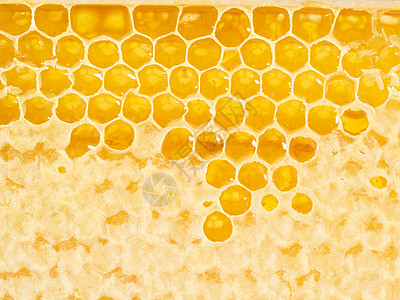 蜂蜜蜂窝闭合 新鲜的细丝滴滴糖蜜 宏观背景蜂蜡六边形蜂巢卫生液体蜜蜂荒野食物生产药品背景图片